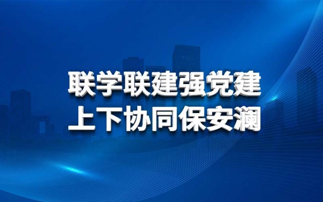 联学联建强党建 上下协同保安澜